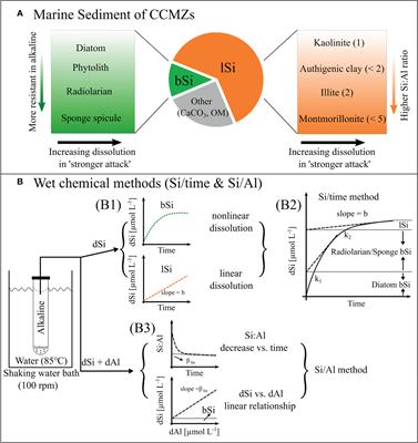 Revisiting the biogenic silica burial flux determinations: A case study for the East China seas